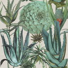 Set 3 role Tapet Imprimat Digital Succulentus