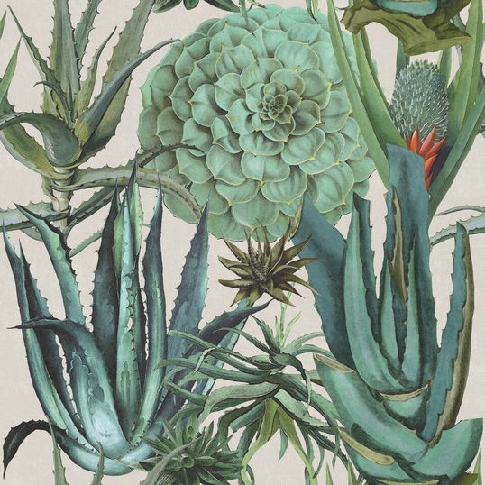 Set 3 role Tapet Imprimat Digital Succulentus