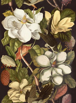 Set 3 role Tapet Imprimat Digital Magnolia