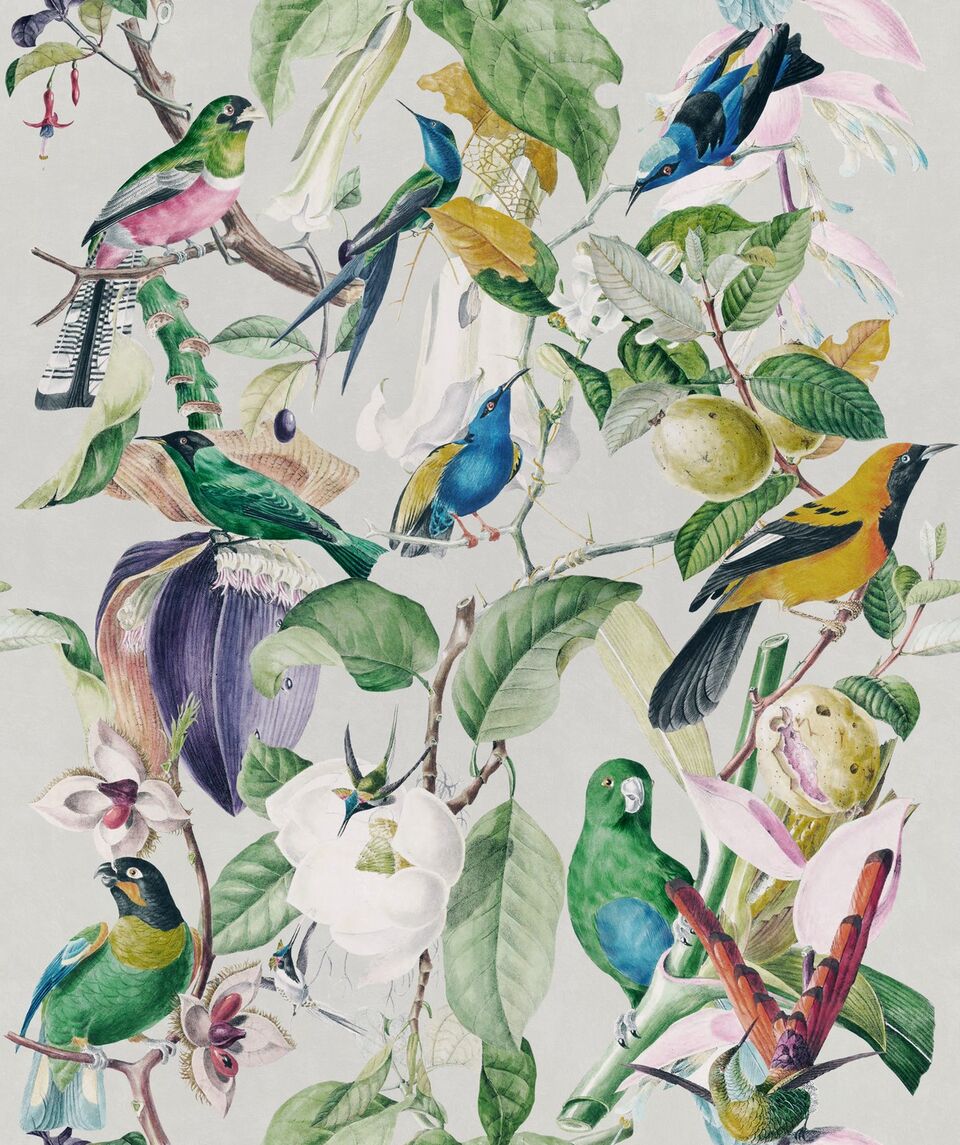 Set 3 role Tapet Imprimat Digital Tropical Birds