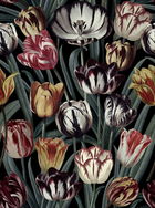 Set 3 role Tapet Imprimat Digital Tulipa Dark