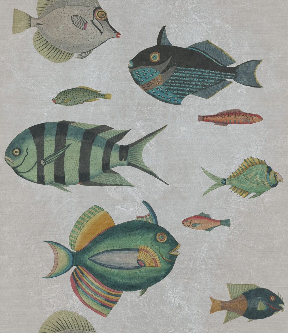 Set 3 role Tapet Imprimat Digital Poissons Grey