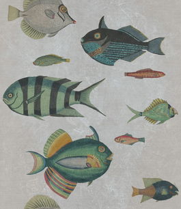 Set 3 role Tapet Imprimat Digital Poissons Grey