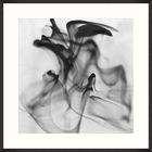 Tablou Framed Art Peculiar Smoke I