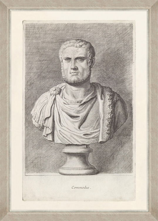 Tablou Framed Art Commodus