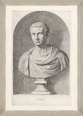 Tablou Framed Art Julius Cesar