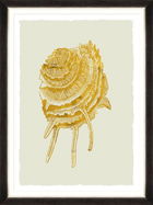 Tablou Framed Art Golden Seashell V