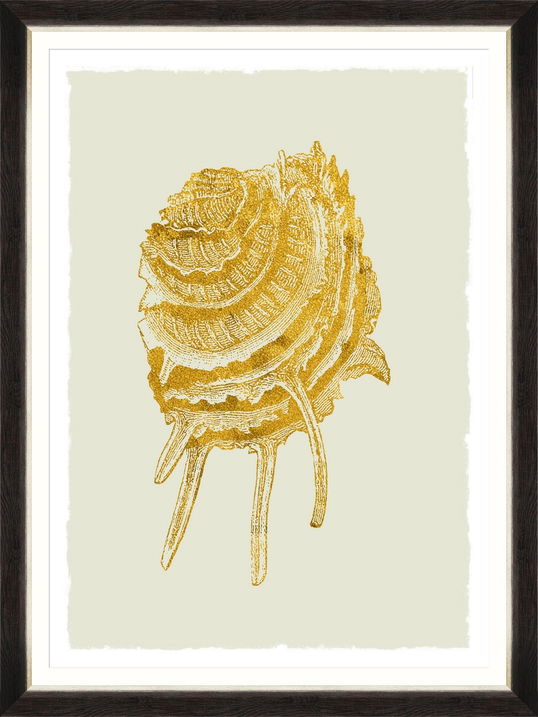 Tablou Framed Art Golden Seashell V