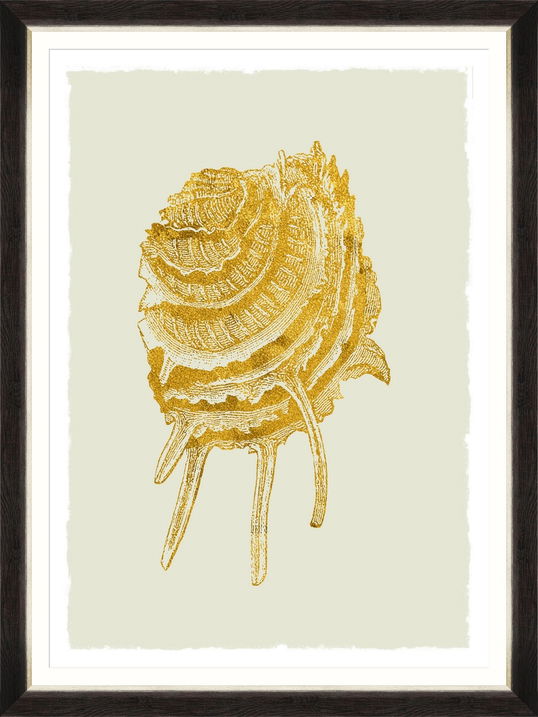 Tablou Framed Art Golden Seashell V