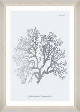 Tablou Framed Art Silver Coral VI