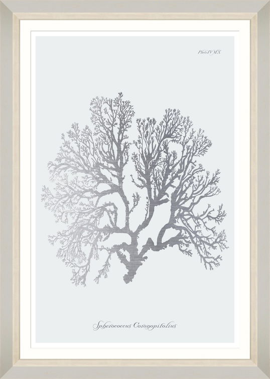 Tablou Framed Art Silver Coral VI