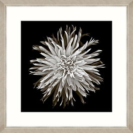 Tablou Framed Art Dahlia Blossom