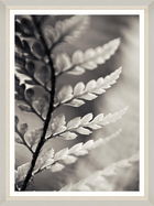Tablou Framed Art Dramatic Fern II