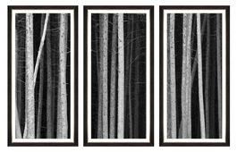 Tablou 3 piese Framed Art Dark Mood