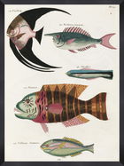 Tablou Framed Art Poissons Ecrevis VI