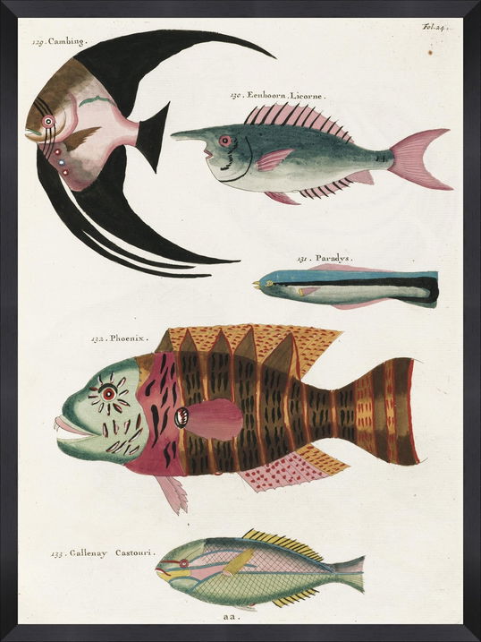 Tablou Framed Art Poissons Ecrevis VI