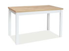 Masa din pal si MDF, Adamaris Stejar Auriu / Alb, L100xl60xH75 cm