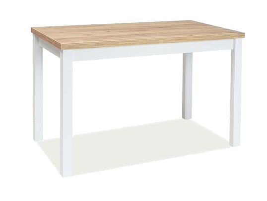 Masa din pal si MDF, Adamaris Stejar Auriu / Alb, L100xl60xH75 cm