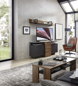 Set de mobila living din pal si MDF, 4 piese Madeline Havel Oak Cognac / Grafit