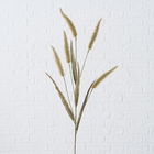 Ramura decorativa artificiala Greenie, H137 cm, 1 bucata