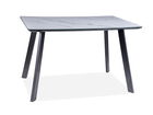 Masa din MDF, sticla si metal Samus Alb / Negru, L120xl80xH75 cm