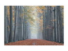 Tablou Sticla Forest Path II, 120 x 80 cm