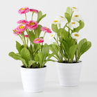 Flori artificiale in ghiveci Bellis Multicolor, Modele Asortate, Ø9xH30 cm