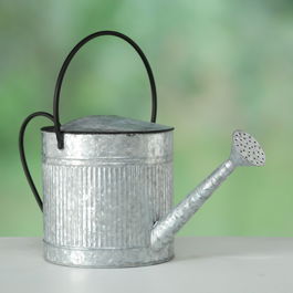 Stropitoare flori decorativa din metal Cottage Gri / Negru, L50xl21xH24 cm