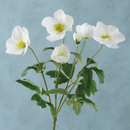 Fir floare artificiala Helleborus Alb / Verde, H38 cm