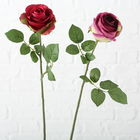 Fir floare artificiala Pfingstrose Fucsia / Rosu, Modele Asortate, H66 cm