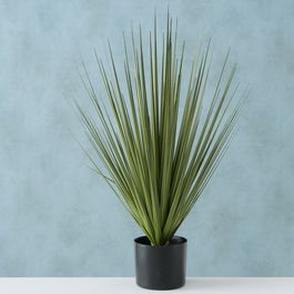 Planta artificiala in ghiveci Harisia Verde, H78 cm
