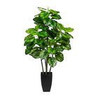 Planta artificiala in ghiveci, Maranta Verde / Galben, H105 cm
