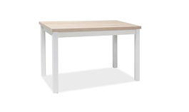 Masa din pal si MDF, Adamaris Stejar Sonoma / Alb, L100xl60xH75 cm