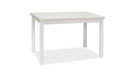 Masa din pal si MDF, Adamaris Medium Alb, L100xl60xH75 cm