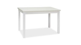Masa din pal si MDF, Adamaris Medium Alb, L100xl60xH75 cm