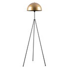 Lampadar Can NT-113 Negru / Auriu