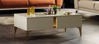 Masa de cafea din pal Ibiza Alb / Auriu, L120xl70xH45 cm