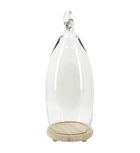 Decoratiune din sticla si lemn de pin, Smith Knot Transparent / Natural, Ø22xH55 cm