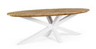 Masa de gradina / terasa din lemn de tec si metal, Palmdale Oval Natural / Alb, L240xl110xH77 cm
