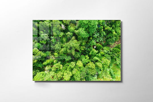 Tablou Sticla Tree 1172 Verde, 45 x 30 cm