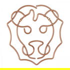 Suport decorativ perete Lion, Metaltex, 27 x 30 cm, inox, aramiu