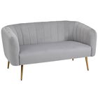 HOMCOM Canapea 2 Locuri Design Modern Captusita cu Cotiere si Spatar, Gri