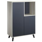 HOMCOM Biblioteca Moderna din Lemn cu 2 Usi si Compartiment Deschis, Mobilier Multifunctional pentru Sufragerie, Dormitor, Birou, Gri Inchis