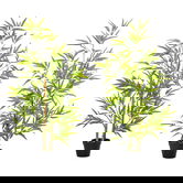 Outsunny Set 2 Plante de Bambus Artificiale in Ghiveci de 120cm, Decoratiune pentru Casa, Birou, Interior si Exterior