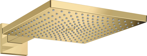 Palarie dus Hansgrohe Raindance, brat de perete, auriu