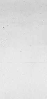 Panou decor Sanotechnik, SanoWall Beton 255x125,5x0,10 cm