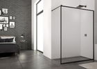 Cabina dus Walk-in SanSwiss Easy Loft 79 80xH200 cm profil negru