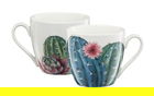 Cana Cactus, Ambition, 510 ml, portelan, multicolor