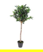 Decoratiune Olive Tree, 35x35x94 cm, polipropilena