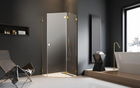 Cabina dus pentagonala Radaway Essenza Pro Gold PTJ 100x100 cm, usa dreapta